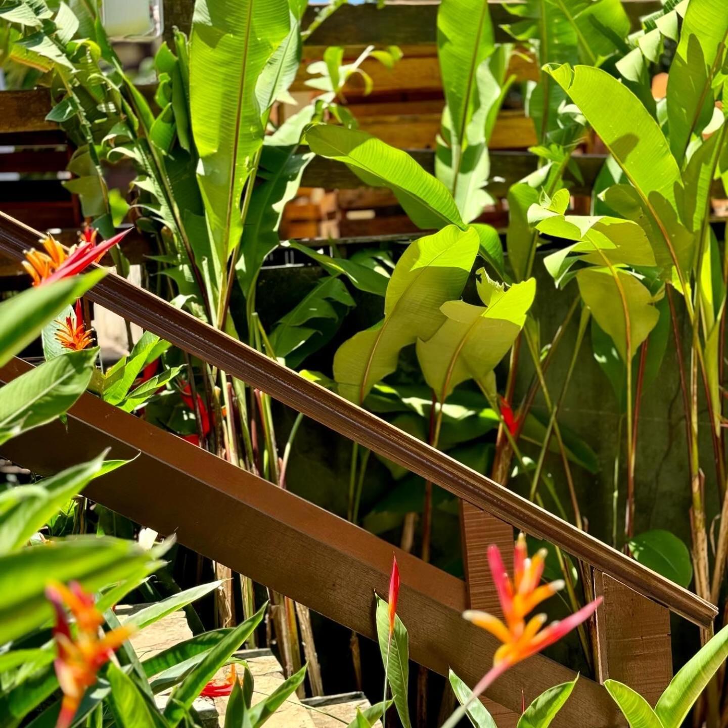 Estrelamar Ferradura Restaurante & 3* Armacao dos Buzios